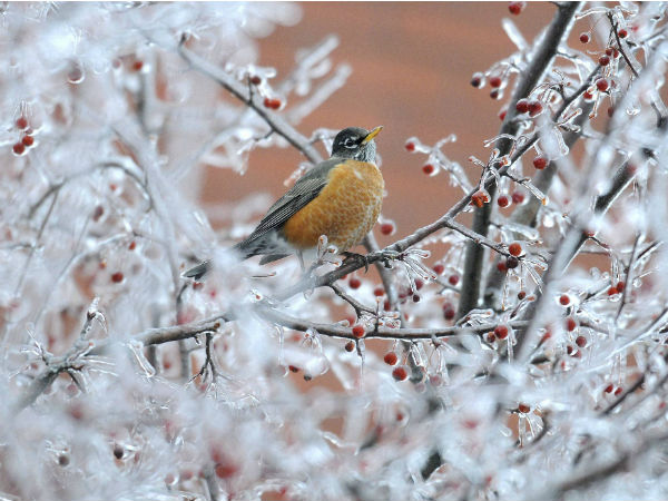 எம்பராஸ்தான் ரொம்ப மோசம்