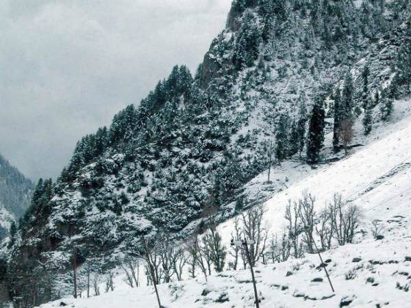 எல்லாத்தையும் மூடுங்கப்பா