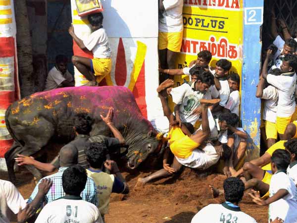 டோக்கன்படிதான் சாமி விடுவோம் டோக்கன்படிதான் சாமி விடுவோம்