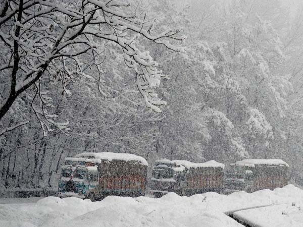 நடமாட்டமே இல்லை