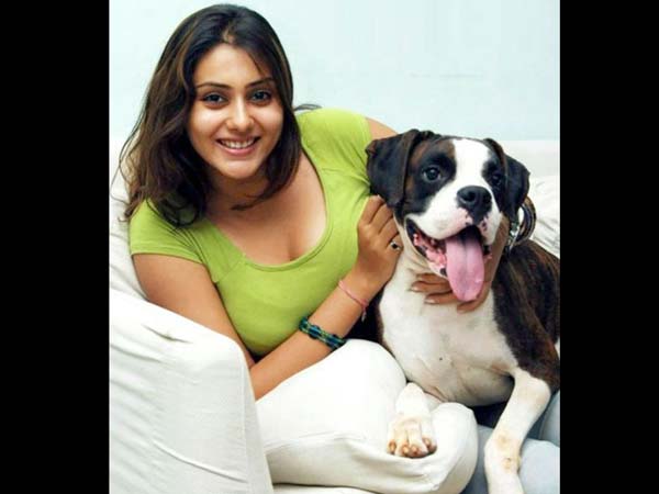 நமீதாவின் க்யூட் சாக்லேட்