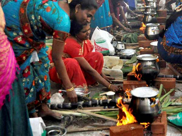 250 பானைகளில் பொங்கல்