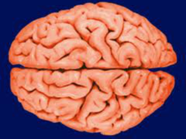 இது தான் 6வது அறிவு....