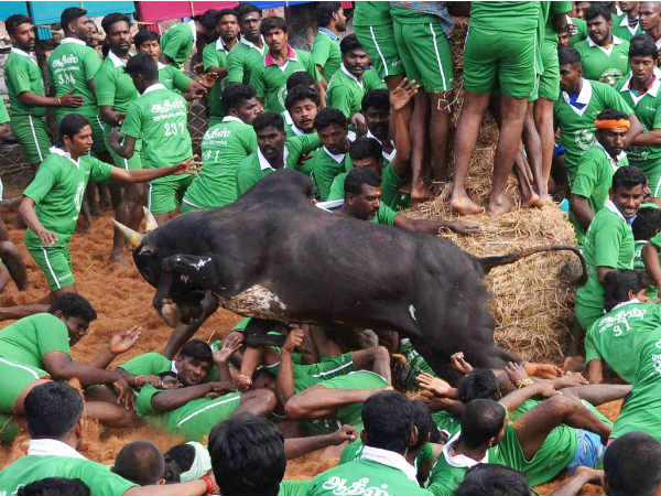 வெளிநாட்டுப் பயணிகள்
