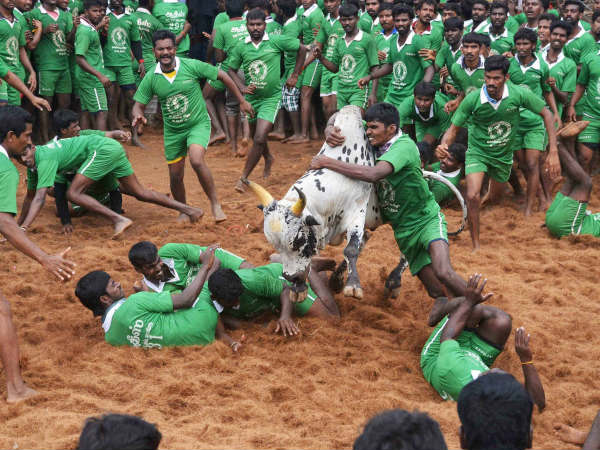 49 பேர் காயம்
