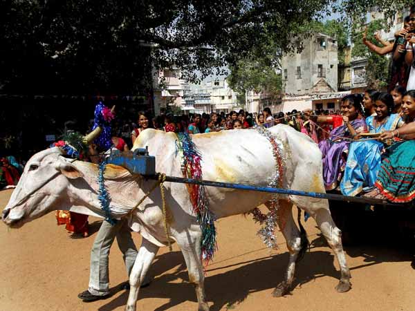 மாட்டுவண்டி பூட்டிகிட்டு