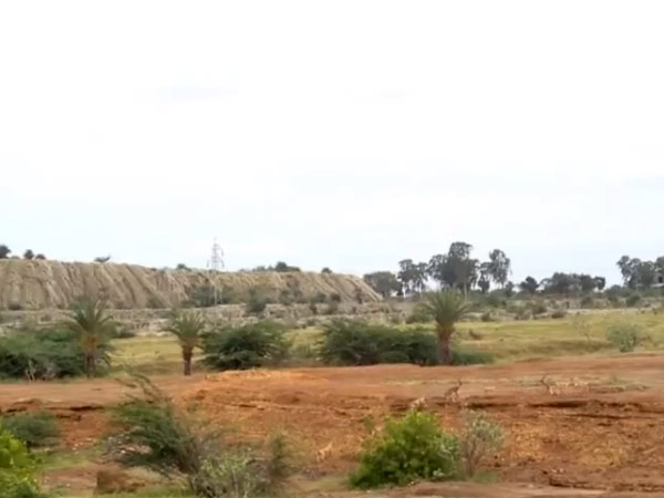 நூற்றாண்டுக்கும் மேலாக