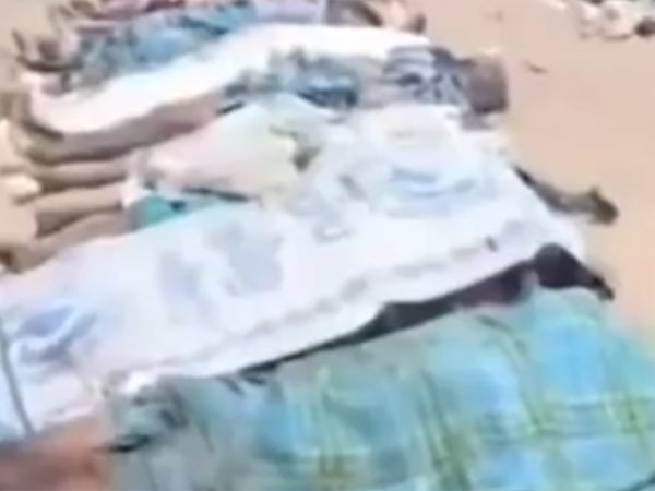 மனித உடல்கள்