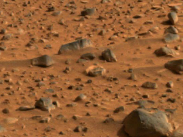 ஆச்சர்யம்... ஆனாக், உண்மை ஆச்சர்யம்... ஆனாக், உண்மை