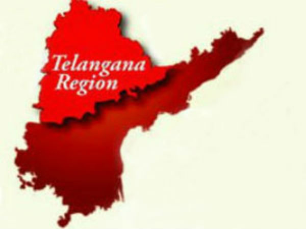 தனி மாநிலத்திற்கு தெலுங்கானாவில் அபார ஆதரவு