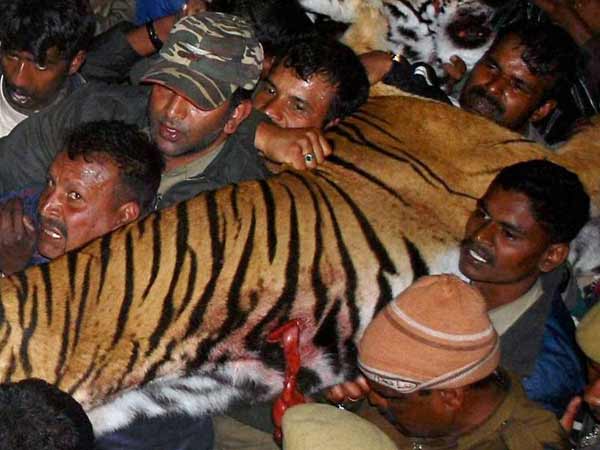 30 ரவுண்டுகள்