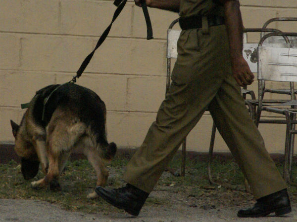 மோப்ப நாய்கள் உதவியுடன்....