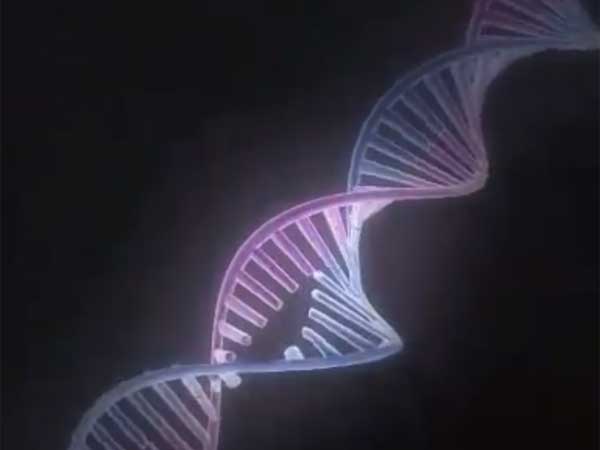 மரபிகளில் ஏற்படும் மாற்றங்கள்