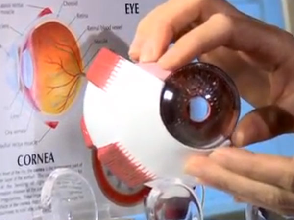 இனி இல்லை பார்வையற்ற நிலை: