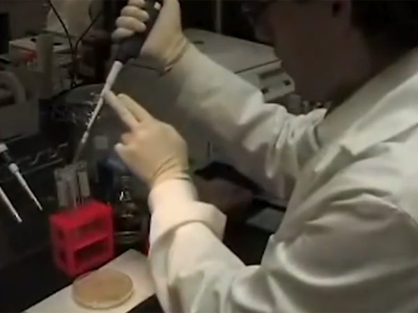 முல்லர் கிளையலின் மாயம்: