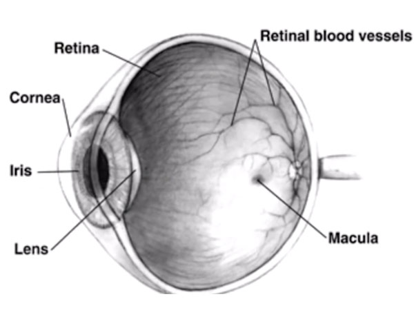 புதிய மைல்கல்: