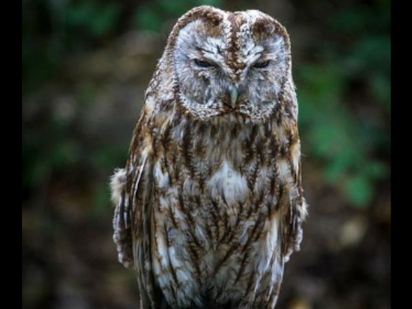 கள்ளச்சந்தையில்.... கள்ளச்சந்தையில்....