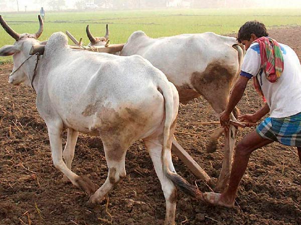 தமிழகத்தின் பொருளாதார நிலைமை இதுதான்..