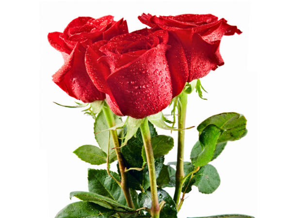 சீனாவில் பாதிப்பு