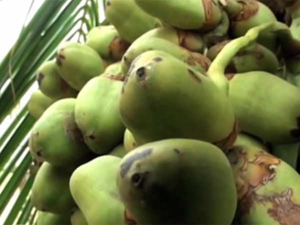 லாரி லாரியாக தமிழகத்திலிருந்து: