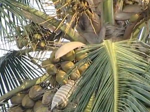தமிழகத்திலிருந்து இறக்குமதி: