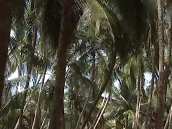 அழகாய் இருந்தது.. ஆனால் பயமாய் இருக்கிறதே: