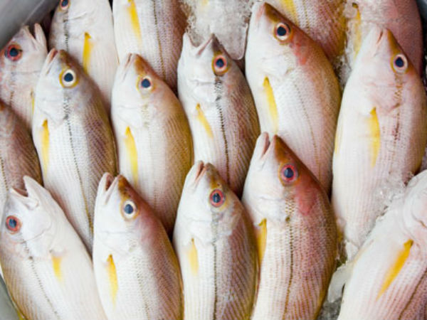 வீடு வீடாக மீன்கள்