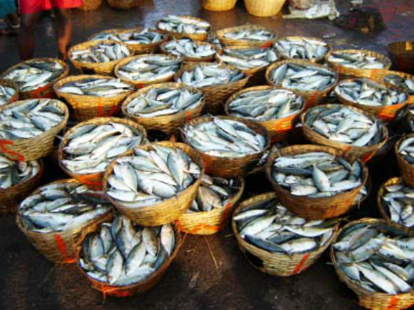 நடமாடும் மீன்கடை