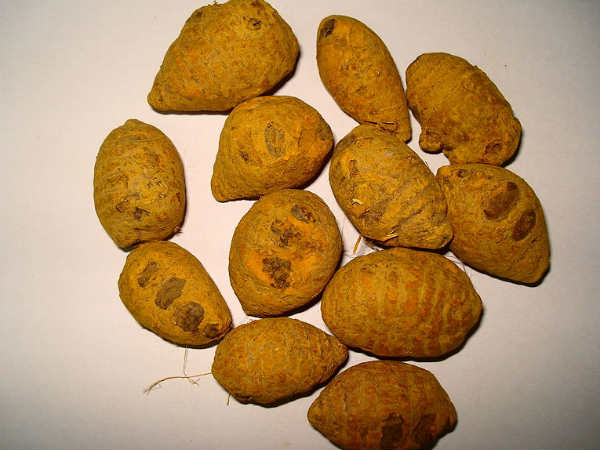 புற்றுநோயின் பரமவிரோதி: