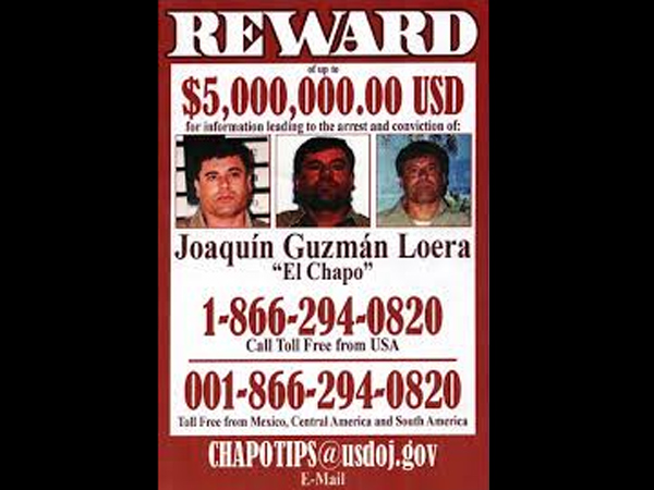 ராக்கெட் லாஞ்சர்கள்