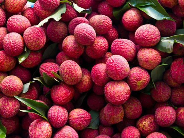 சத்துக்கள் ஆயிரம்: