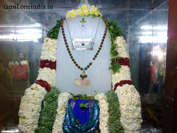 பனிலிங்க தரிசனம்