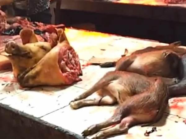 அப்படியே சாப்பிடலாமாம்....