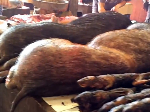 இங்கப் பார்க்கலாம்...