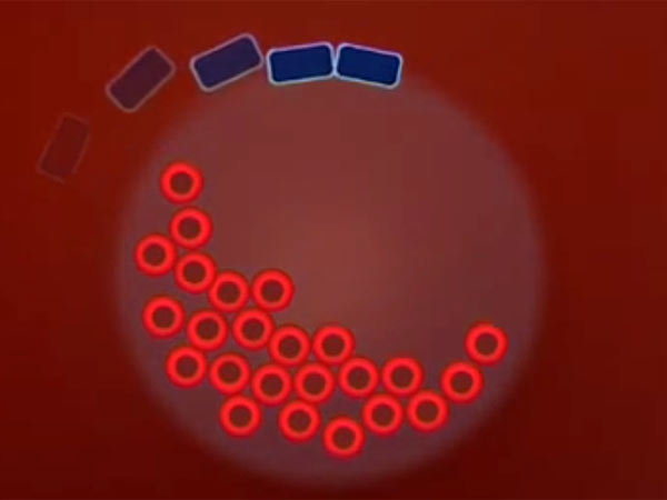 சவ்வு செல்களாக மாற்றம்...