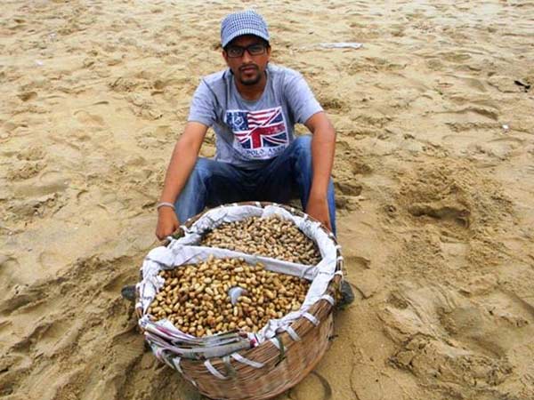 தசாவதார மிஸ்ரா: