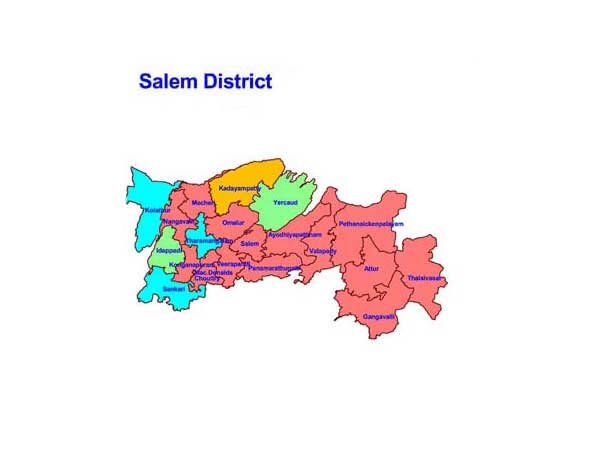 சேலம் தொகுதிக்கு போட்டி