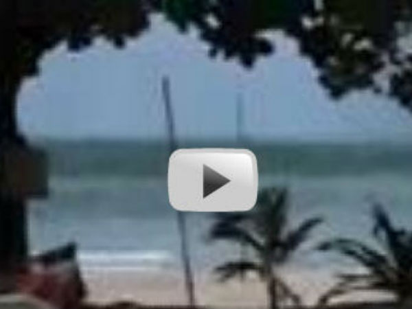 பரவும் வீடியோக்கள்: