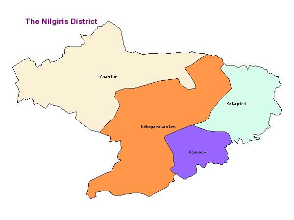 நீலகிரி