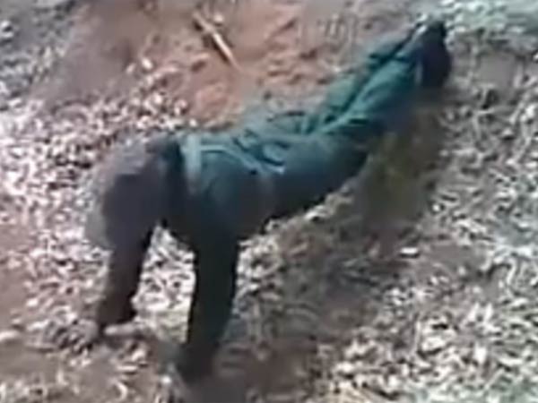 தாக்கும் காட்சிகள்...