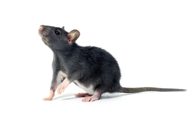 Nellai ADMK’s 3 members arrested for freebie issue… Nellai ADMK’s 3 members arrested for freebie issue…