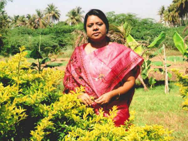 தவறு யார் மீது