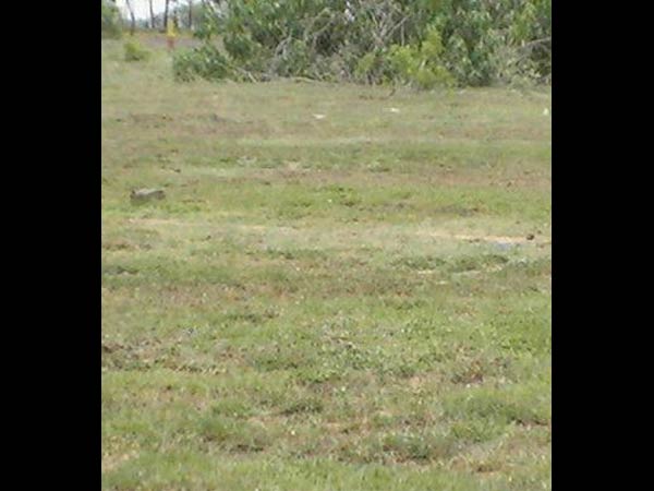 நீலாங்கரை 2,400 சதுர அடி நிலம்