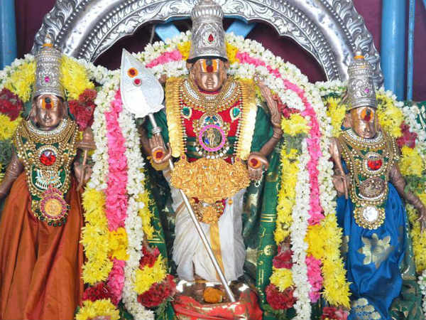 முத்துகுமாரசாமி வாகன உலா