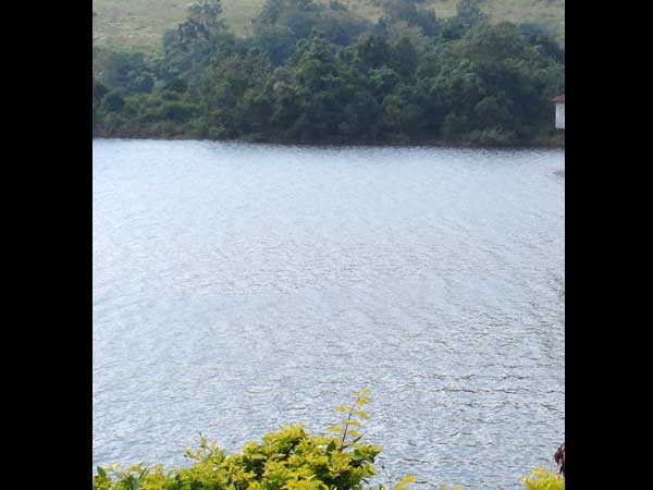 ஆய்வில் கிணறுகள்: