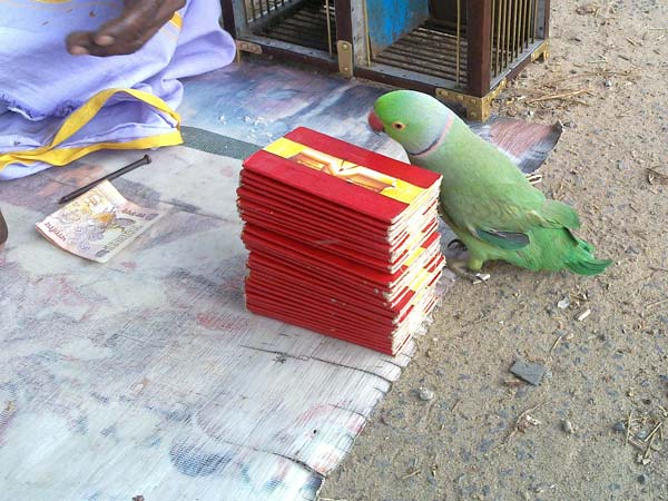இதில் பாகுபாடே இல்லை: