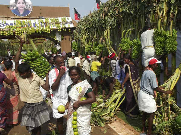 வாழைப்பந்தல் வாழைப்பந்தல்