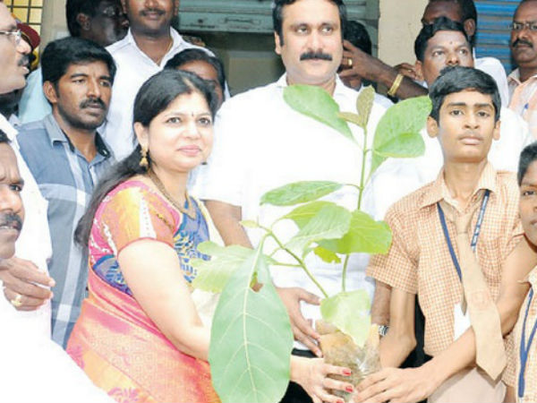 சவுமியா அன்புமணி