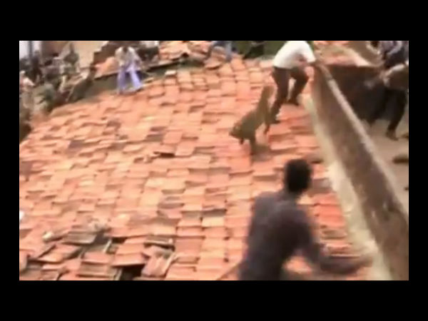 ஓட்டைப் பிரித்து பிடிக்க முயற்சி...