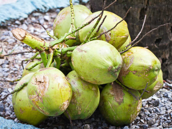 மோர்- இளநீர் நல்லது